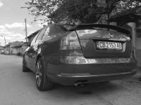 Skoda_vRS_B-W.jpg