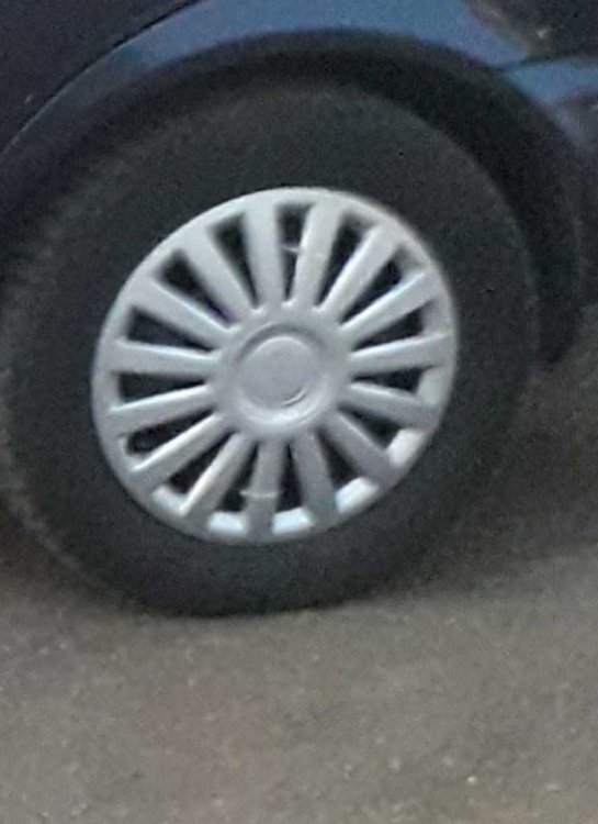 1583433717370.jpg