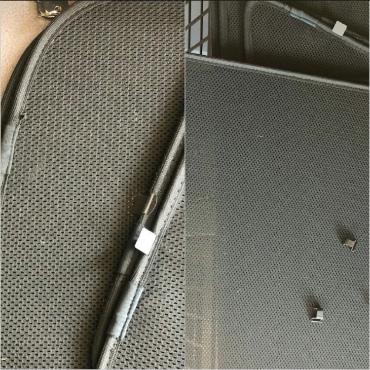 2020-05-05 07.09.20.jpg