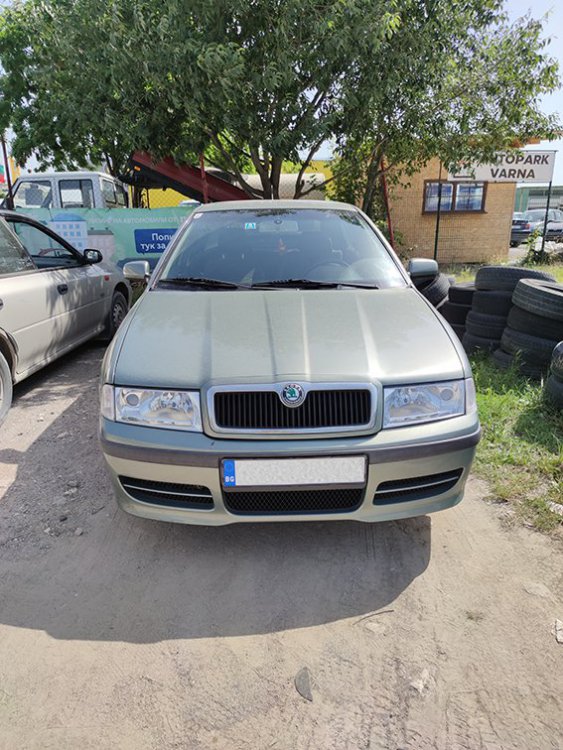 шкода.jpg
