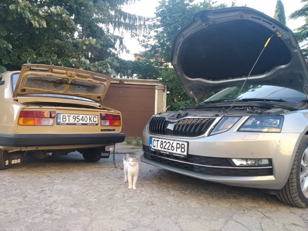 skoda 1.jpg