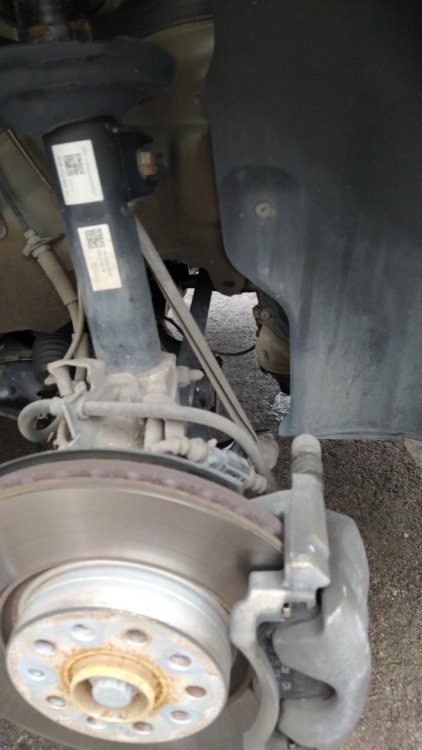 IMG-f4d98fd9dbb215fea97af559a5fba2a1-V (1).jpg