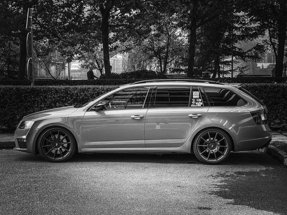 Octavia3vRSMixed2022053.thumb.jpg.a72e387cb2254615b779d7611df1c557.jpg